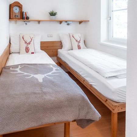 Schmitten & Cityxpress Apartment 1 And 2 Zell am See Luaran gambar