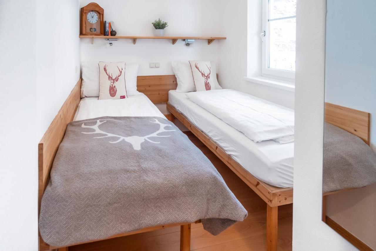 Schmitten & Cityxpress Apartment 1 And 2 Zell am See Luaran gambar