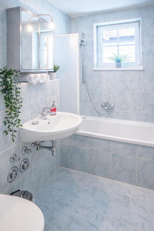 Schmitten & Cityxpress Apartment 1 And 2 Zell am See Luaran gambar